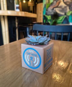 IMG 20251025 154839135 HDR