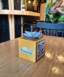 IMG 20251025 155215087 HDR